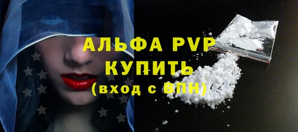 молекула духа Няндома