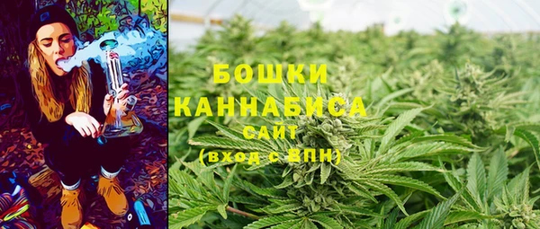 молекула духа Няндома