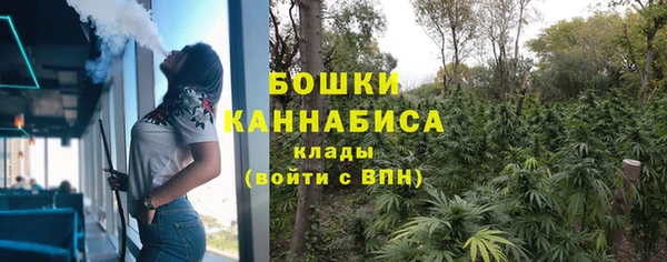 молекула духа Няндома