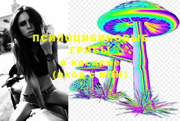 молекула духа Няндома