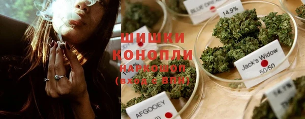 молекула духа Няндома