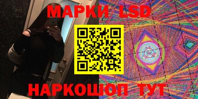 шишки Гатчина