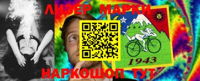 шишки Гатчина