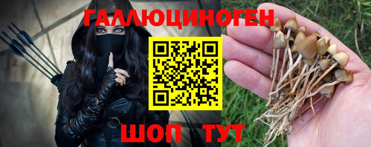 Галлюциногенные грибы GOLDEN TEACHER Отрадный